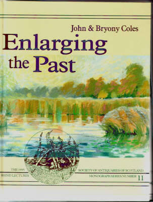 Book cover for Enlarging the Past