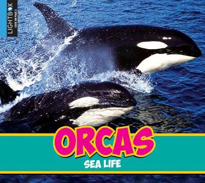 Book cover for Orcas