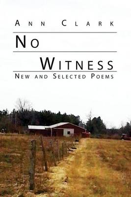 Book cover for No Witness