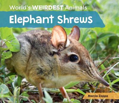 Cover of Elephant Shrews