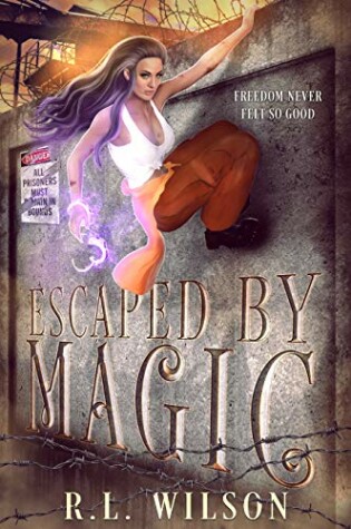 Cover of Escaped By Magic