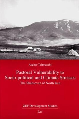 Cover of Pastoral Vulnerability to Socio-Political and Climate Stresses