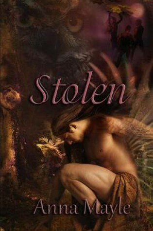 Cover of Stolen