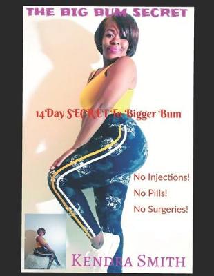 Book cover for The Big Bum Secret