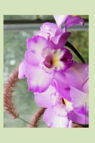 Cover of Purple Orchids 2014 Weekly Calendar