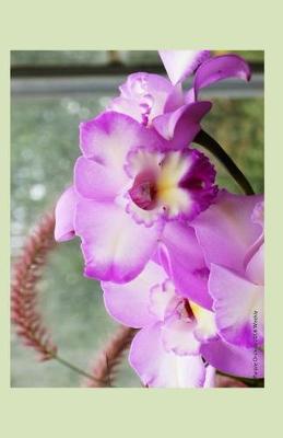 Book cover for Purple Orchids 2014 Weekly Calendar