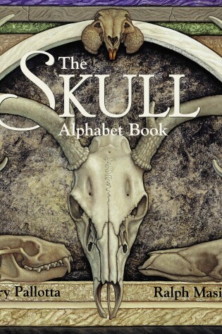 Cover of The Skull Alphabet Book