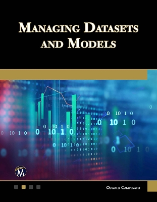 Book cover for Managing Datasets and Models