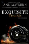 Book cover for Exquisite Trouble