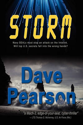 Book cover for Storm