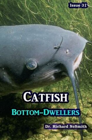 Cover of Catfish