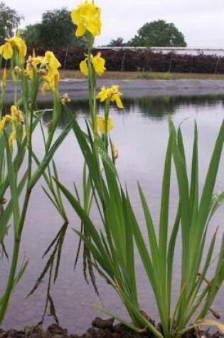 Cover of Yellow Iris Pseudacorus Growing by a Pond Journal