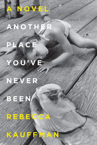 Book cover for Another Place You've Never Been