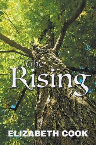 Cover of The Rising