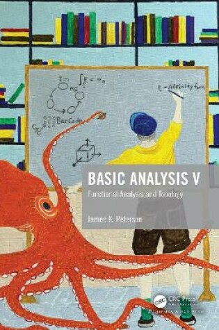 Cover of Basic Analysis V