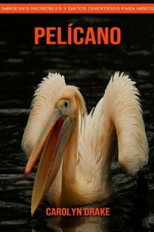 Cover of Pelícano