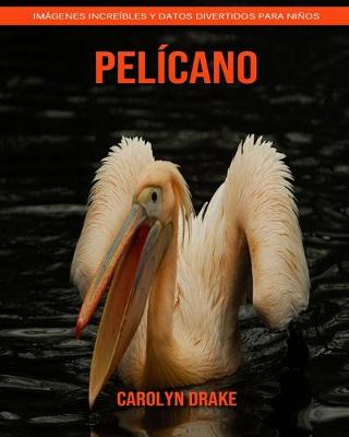 Book cover for Pelícano