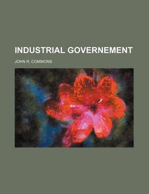 Book cover for Industrial Governement