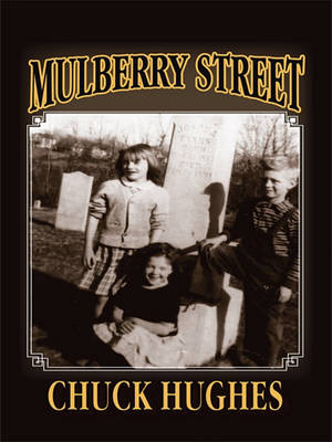 Book cover for Mulberry Street