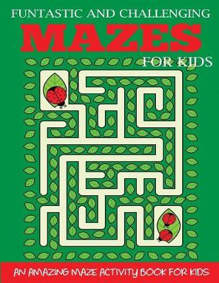 Book cover for Funtastic and Challenging Mazes for Kids