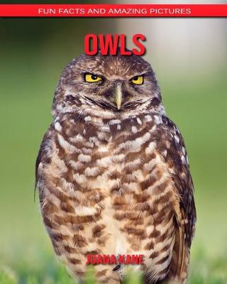 Book cover for Owls