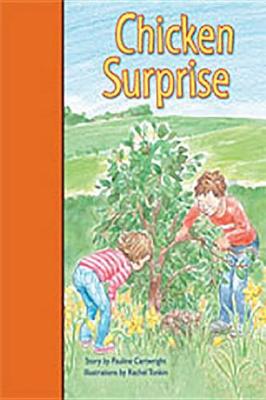 Book cover for Chicken Surprise