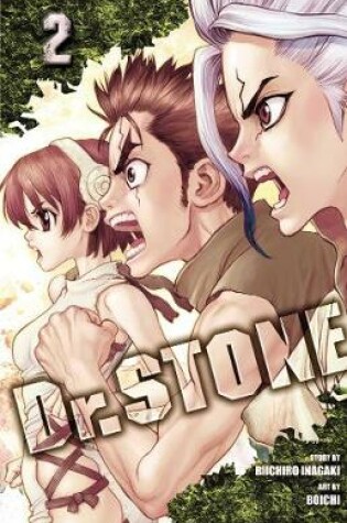 Cover of Dr. STONE, Vol. 2