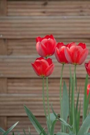 Cover of Red Tulips in the Garden Journal