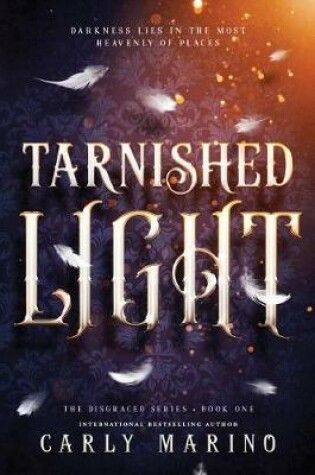 Cover of Tarnished Light