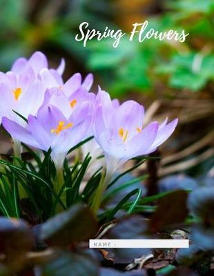 Book cover for Spring Flowers