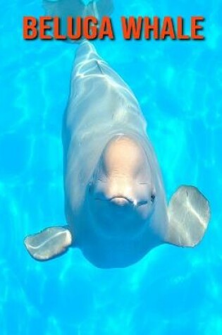 Cover of Beluga Whale