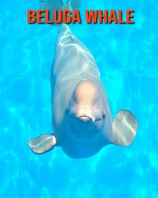 Book cover for Beluga Whale