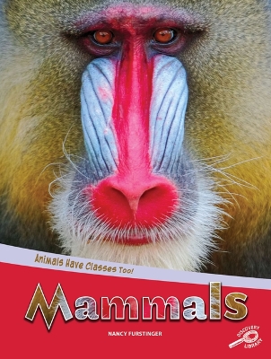 Book cover for Animals Have Classes Too! Mammals