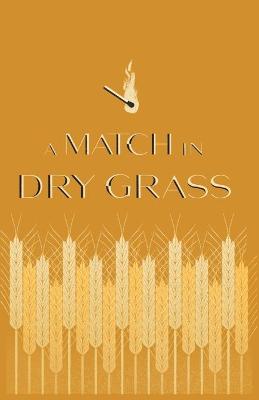 Cover of A Match in Dry Grass