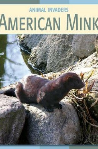 Cover of American Mink