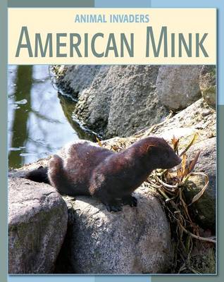 Book cover for American Mink