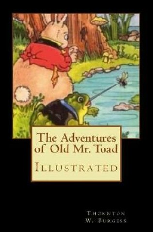 Cover of The Adventures of Old Mr. Toad