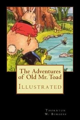 Book cover for The Adventures of Old Mr. Toad