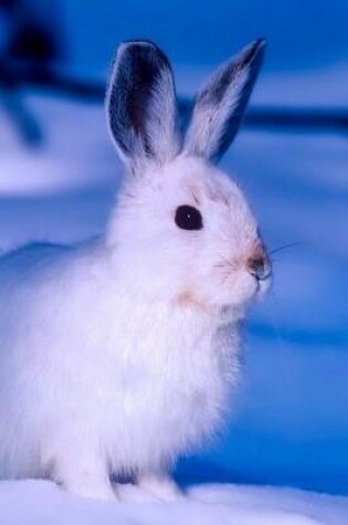 Cover of Delightful White Arctic Hare Animal Journal