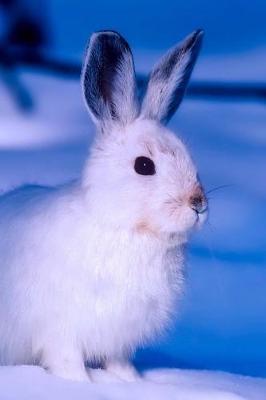 Book cover for Delightful White Arctic Hare Animal Journal