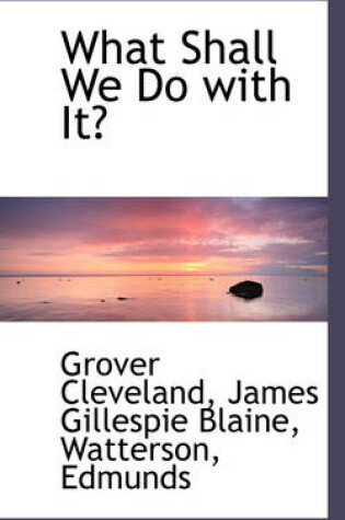 Cover of What Shall We Do with It?