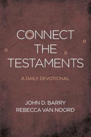 Cover of Connect the Testaments