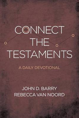 Book cover for Connect the Testaments