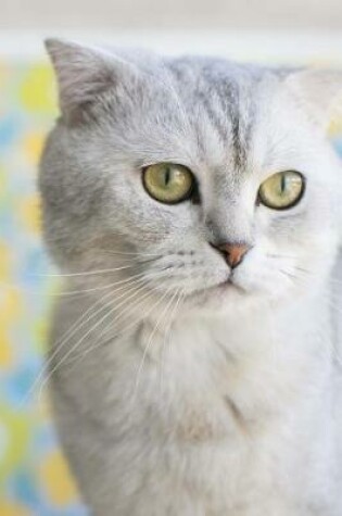Cover of Beautiful White Scottish Fold Cat Journal