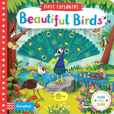 Book cover for Beautiful Birds