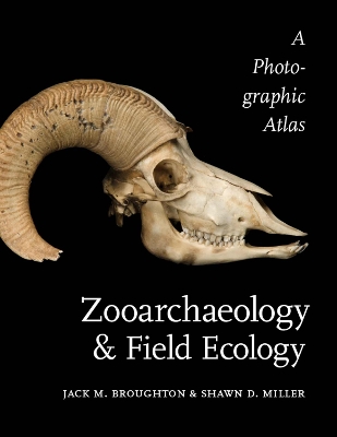 Book cover for Zooarchaeology and Field Ecology