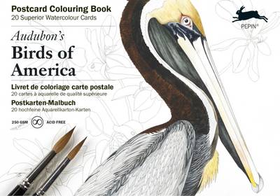 Book cover for Audubon's Birds of America