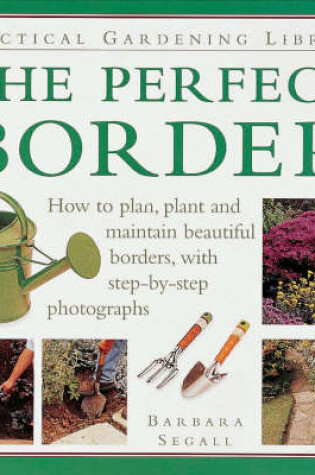 Cover of The Perfect Border