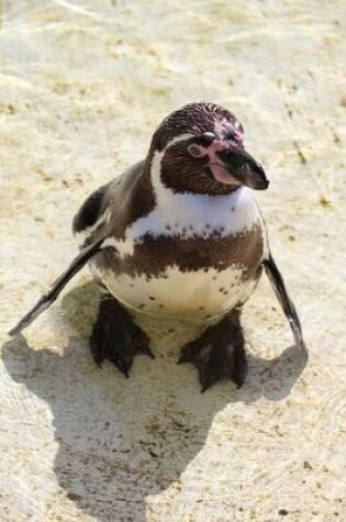 Cover of Humboldt Penguin on the Beach Journal