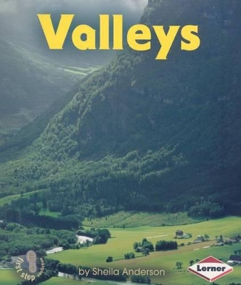 Book cover for Valleys